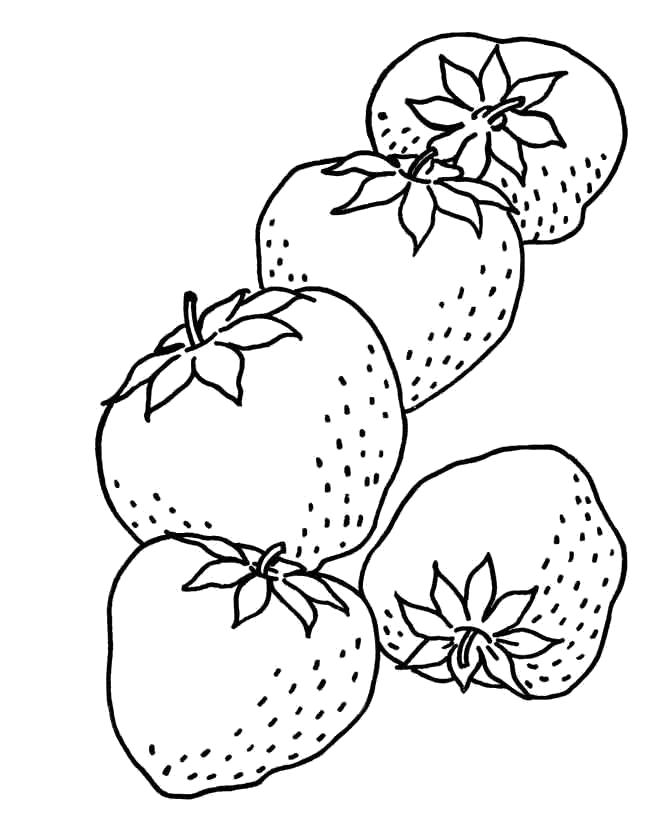 Раскраски ягоды малина вишня арбуз вишня крыжовник  Клубнички