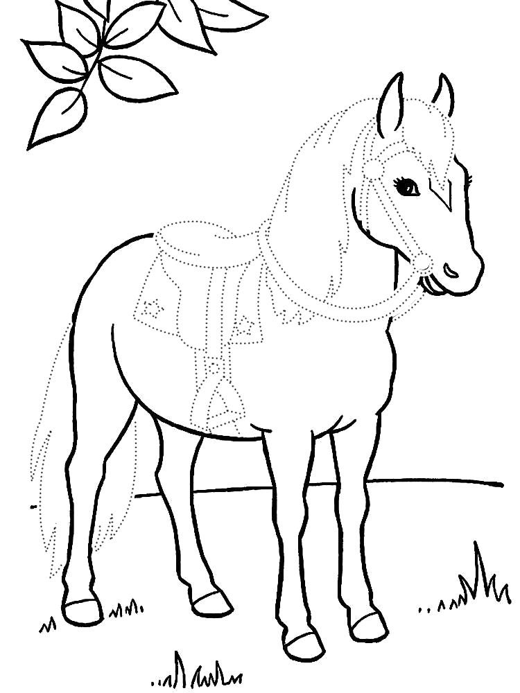 Раскраски с лошадьми, кобыла, жеребенок, конь раскраска  Лошадь