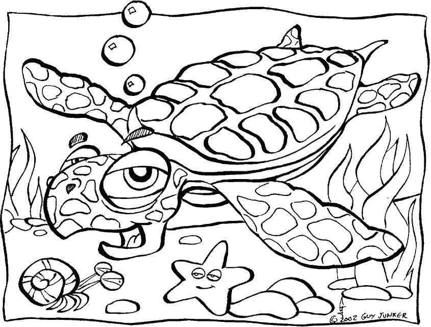 Раскраски Черепаха черепашка  Злая черепаха