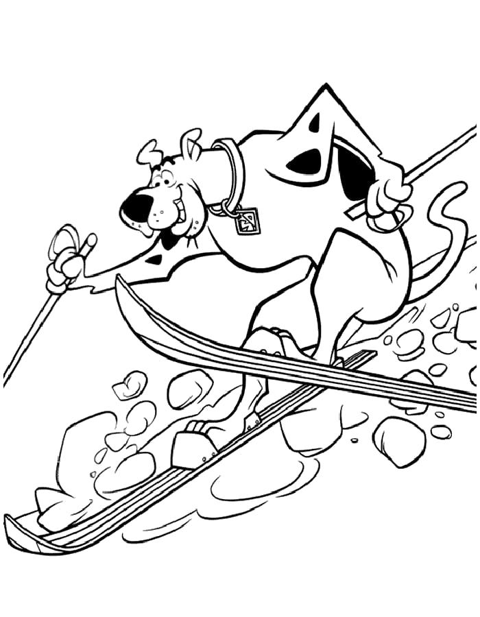 Раскраски про Скуби Ду. Раскраски по мультфильму Скуби Ду. Раскраски со Скуби Ду для детей.   Скуби Ду на лыжах