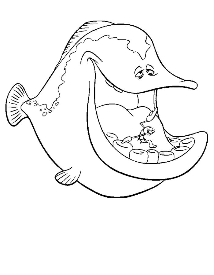 Раскраски про приключения рыбки Дори и его друзей.  Рыбка