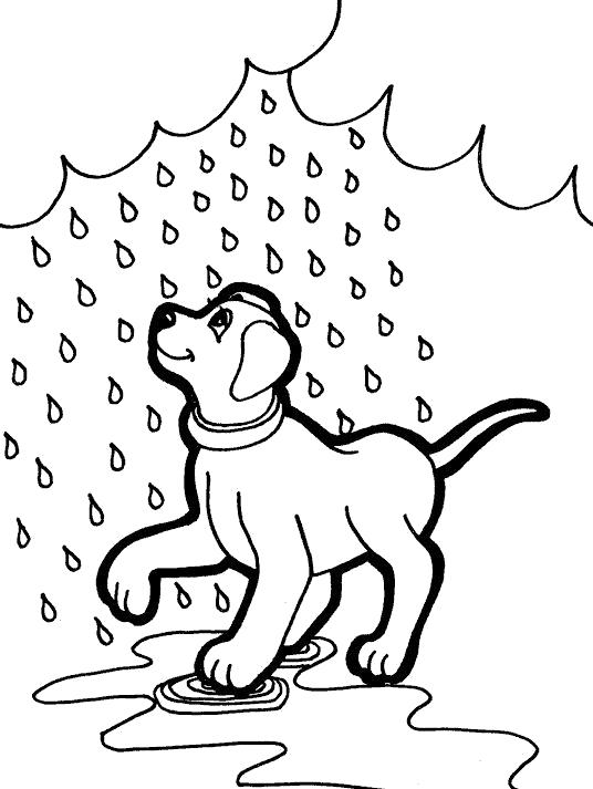 Раскраски природные явления дождь, раскраски дождик для школьников и подростков  Собачка любит дождь