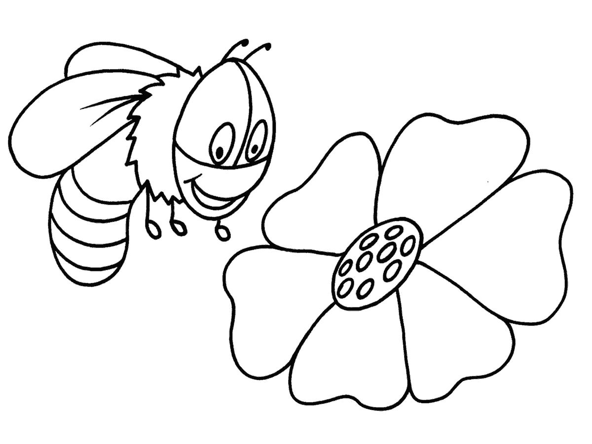 Раскраски пчела пчелы  пчела рада цветку