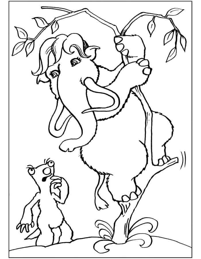 Красивые и веселые раскраски по мультфильму Ледниковый период  Ледниковый период, ленивец и элли, элли весит на ветке дерева