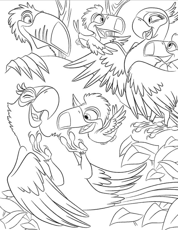 Раскраски по Рио мультфильм про попугаев  мультфильм Рио, производство Blue Sky Studios, попугай