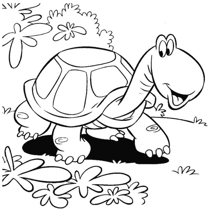 Раскраски Черепаха черепашка  черепаха разглядывает траву