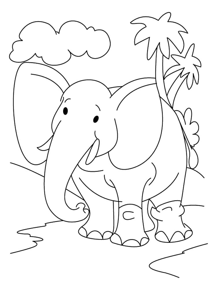 Слоненок : раскраска для самых маленьких