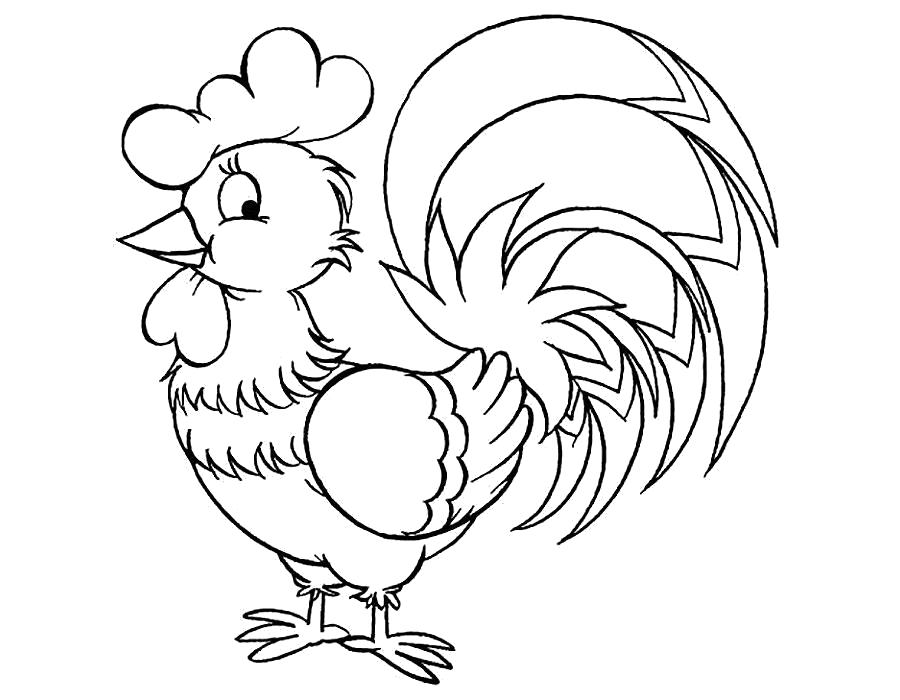 Раскраски птиц курица  петух яйцо цыпленок  Раскраска петух