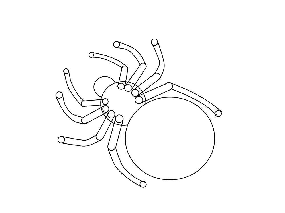 Раскраски пауки паук паучки  Раскраска паук из геометрических фигур