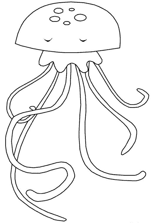 Раскраски медуза медузы  большая медуза