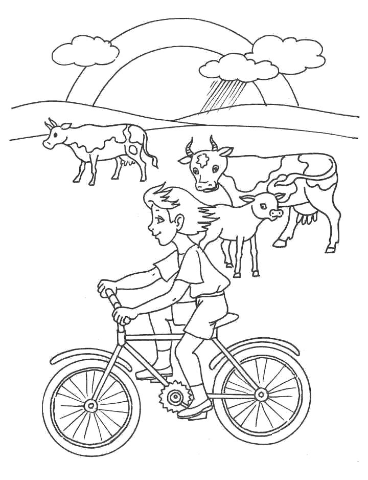  девочка едет на велосипеде, коровы посутся на лугу