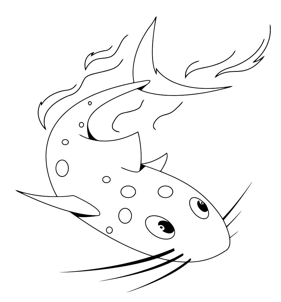 Раскраски рыба рыбы  Сомик
