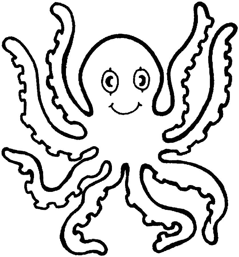 Раскраски осьминог осьминоги  Осьминог