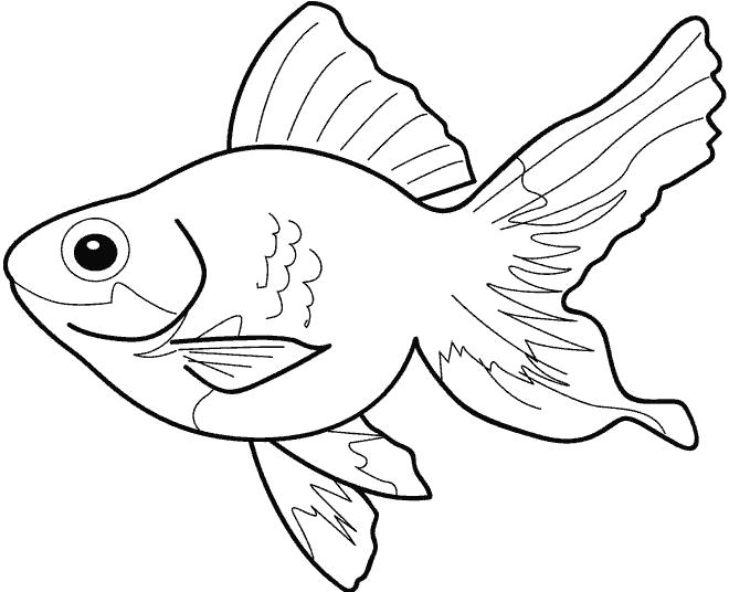 Раскраски рыба рыбы  Золотая рыбка
