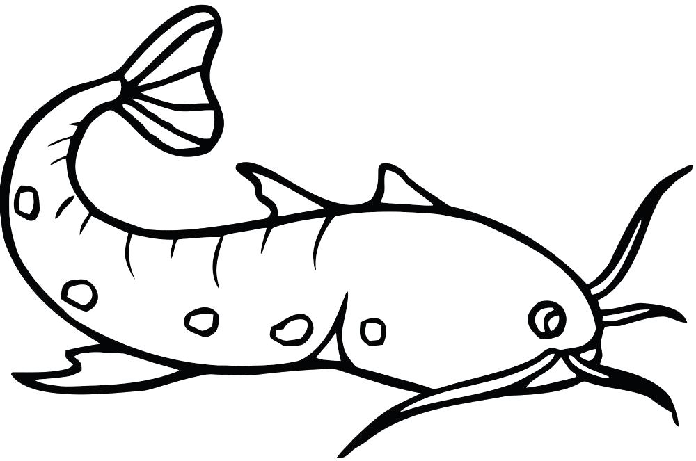 Раскраски рыба рыбы  Усатик