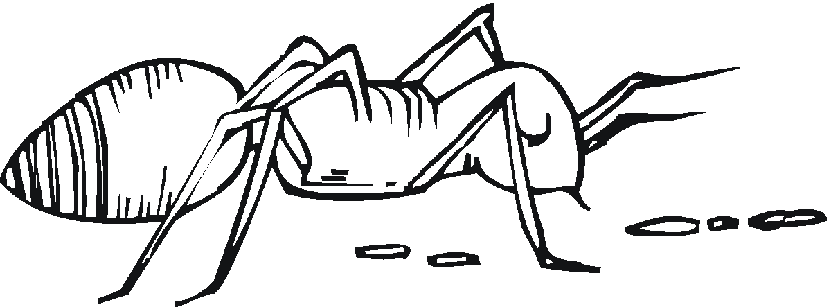 Раскраски мпуравьи муравей   Раскраски мпуравьи муравей 