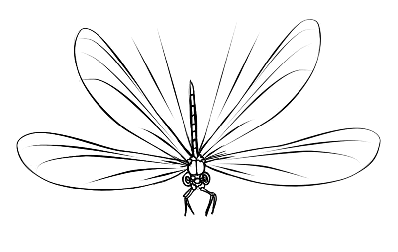  Раскраски для детей стрекоза стрекоз