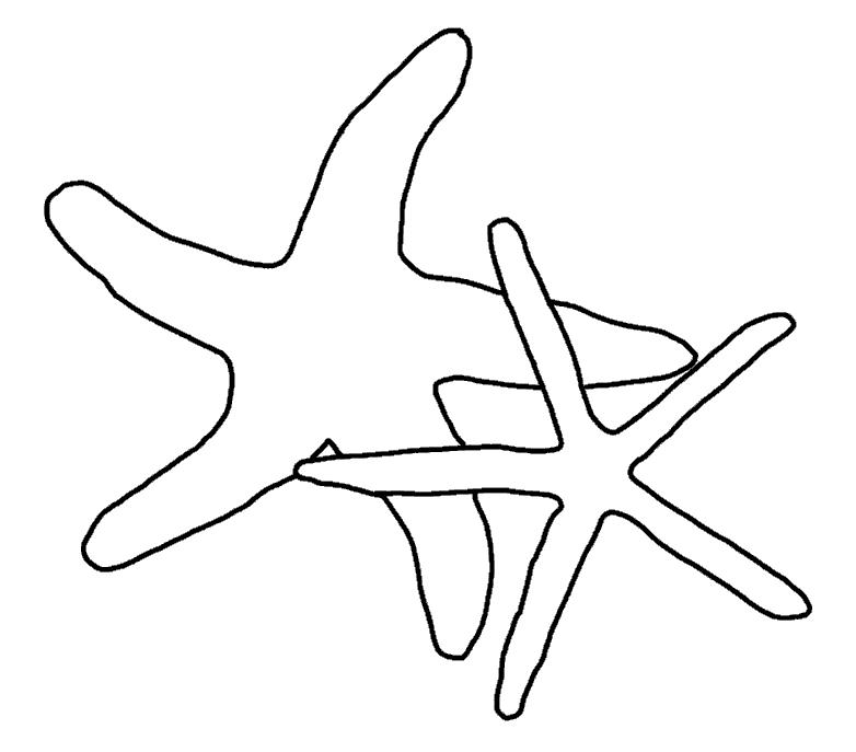 Звезда морская рисунок детский