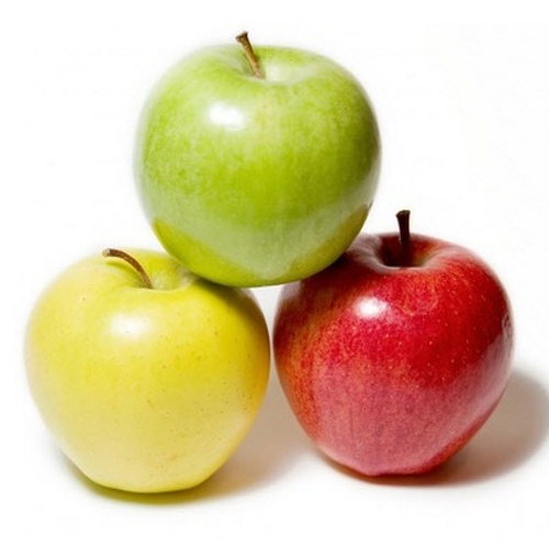 фрукты биологии  яблоки анасы фрукты киви груша  фрукты биологии  яблоки анасы фрукты киви груша