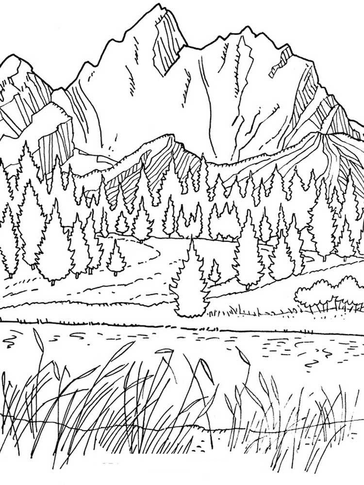 горная речка  Раскраски с природой, раскраски река для детей, раскраски для школьников и подростков