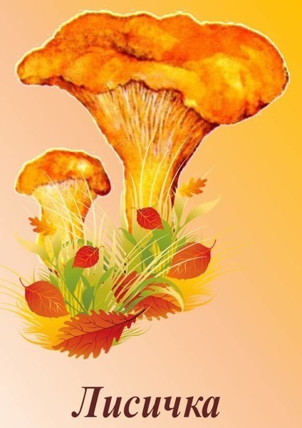  карточки грибы шампиньены пособия разных грибов