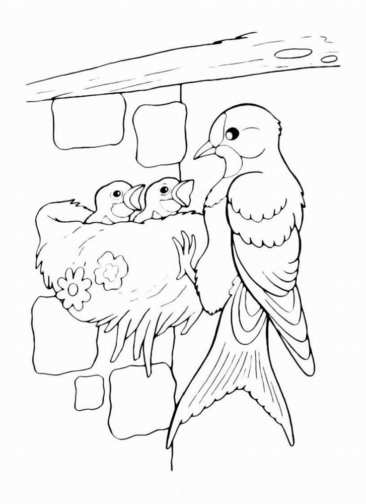  Раскраски домашние птицы куры утки петухи