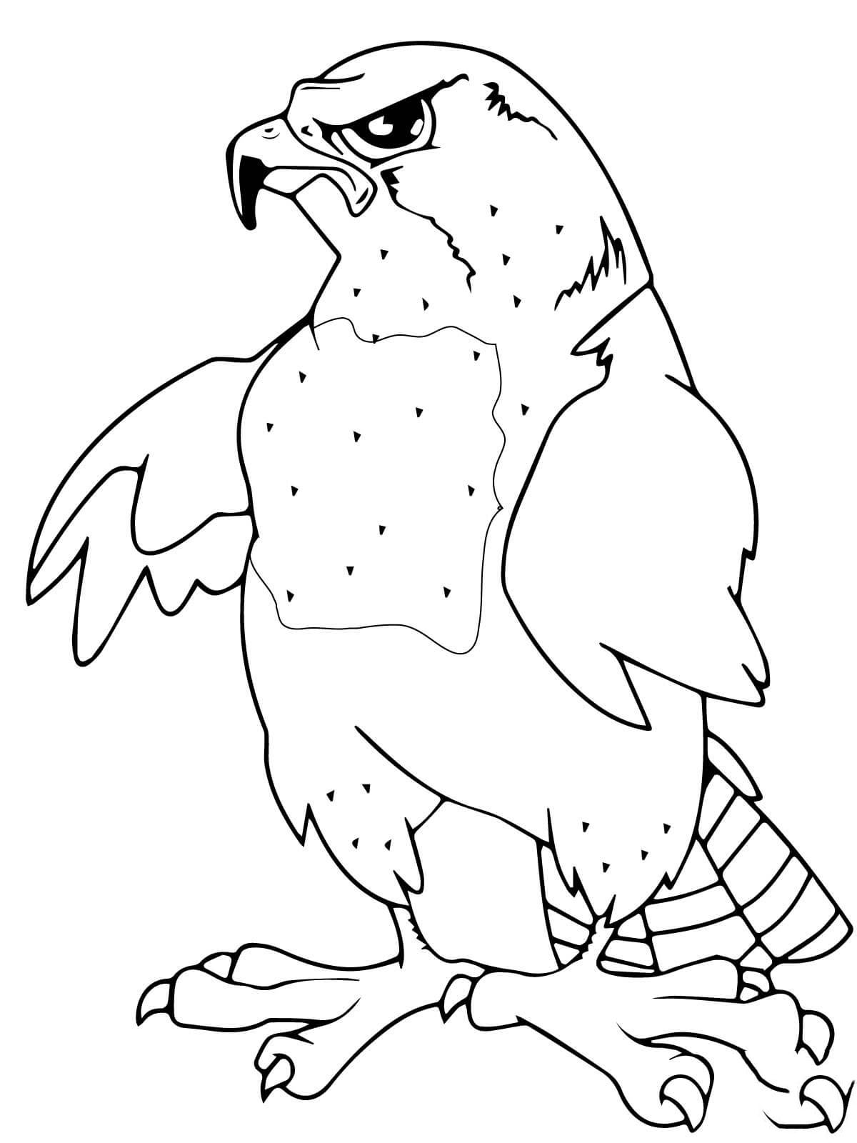  Раскраски орлы летающий орел   большой орел