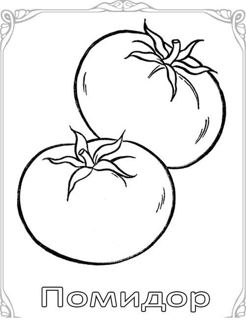  карточки овощи помидор картошка капуста