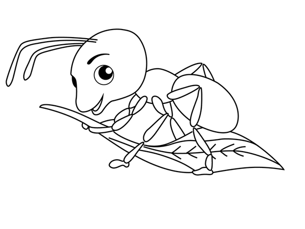 Раскраски мпуравьи муравей   Раскраски мпуравьи муравей 