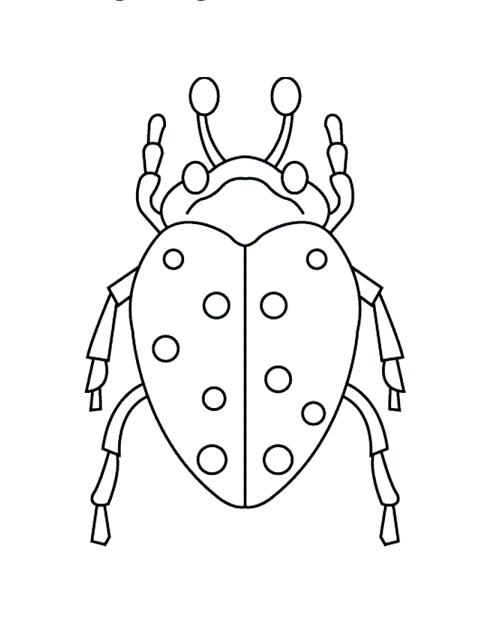 Раскраски жуки жучки жук  Раскраски жуки жучки жук