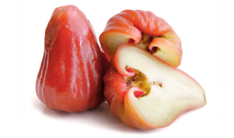 фрукты биологии  яблоки анасы фрукты киви груша  фрукты биологии  яблоки анасы фрукты киви груша