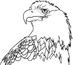  Раскраски орлы летающий орел   большой орел