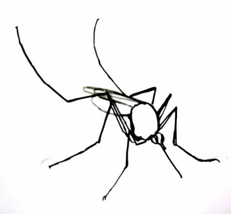  Раскраски комариков комары комар