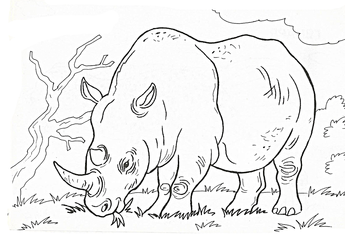 Раскраска носорог — Все для детского сада