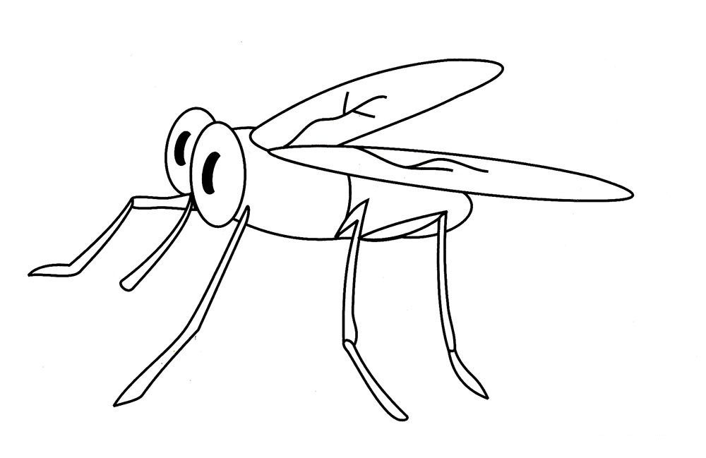 Раскраски комаров комар комарик  Раскраски комаров комар комарик
