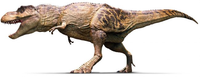 динозавры большие разных видов динозавры  динозавры большие разных видов динозавры