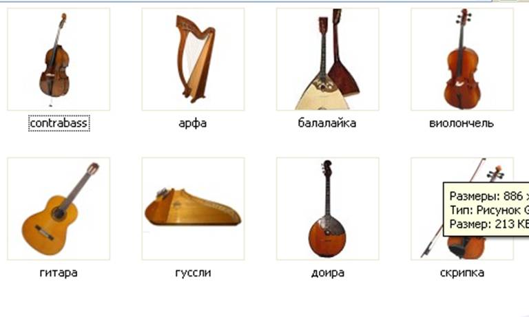 Какие Есть Музыкальные Инструменты Названия И Фото