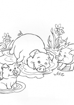  раскраски на тему рисуем животных для мальчиков и девочек. Познавательные раскраски с животными для детей и взрослых. Раскраски с животными 
