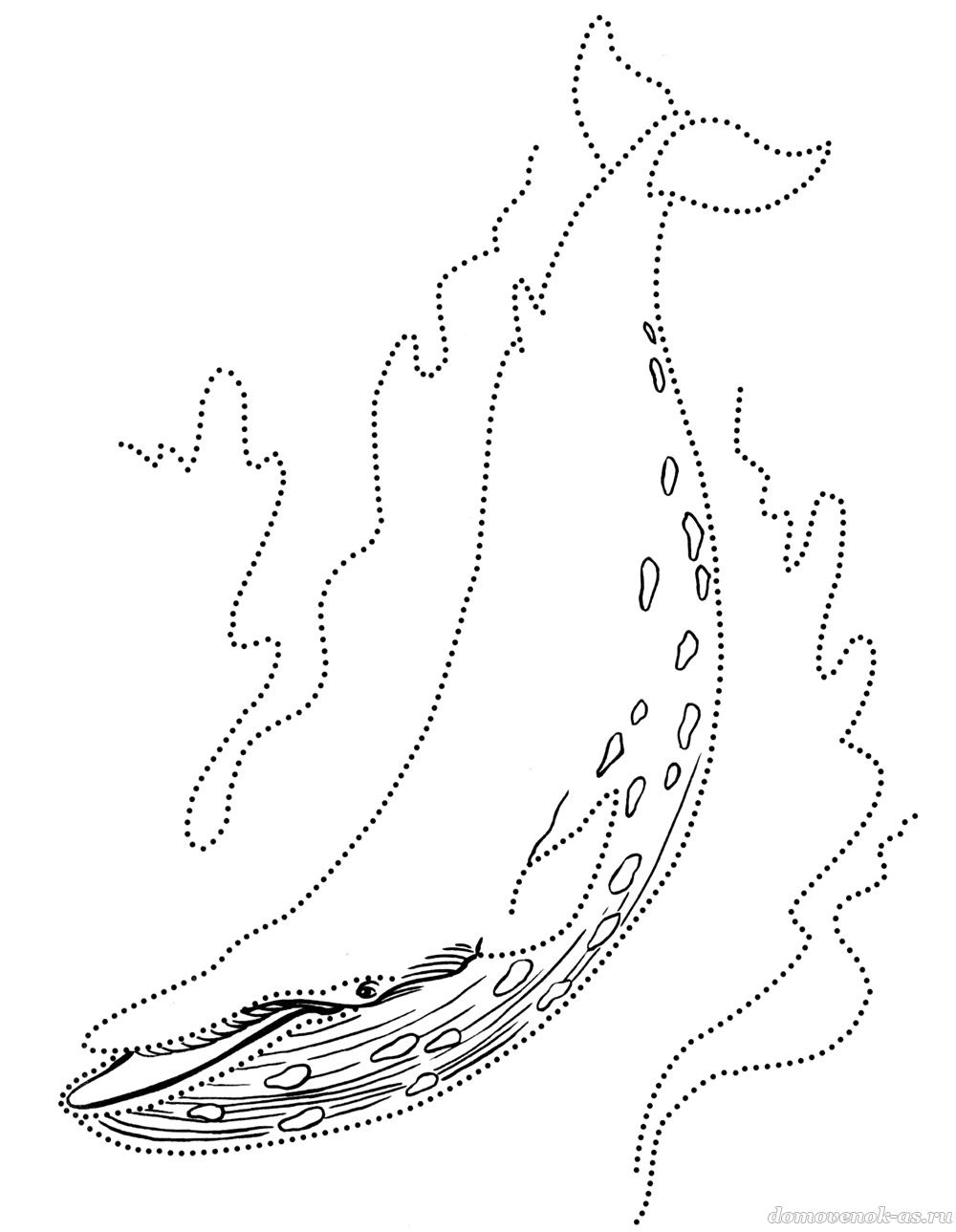 Раскраски на тему окружающий мир. Раскраски с изображениями китов. Раскраски на тему окружающий мир. Раскраски на тему подводного мира. Раскраски на тему кит. Раскраски для детей с изображениями кита. Морской мир. Подводный мир. 