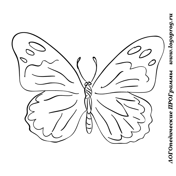  раскраски с бабочками для взрослых      раскраски на тему бабочки для детей и взрослых. Раскраски с красивыми бабочками для взрослых. Раскраски с бабочками                         
