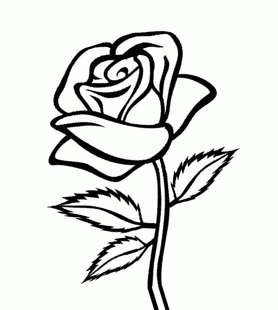 Картинки-раскраски цветы: роза, ромашка и другие