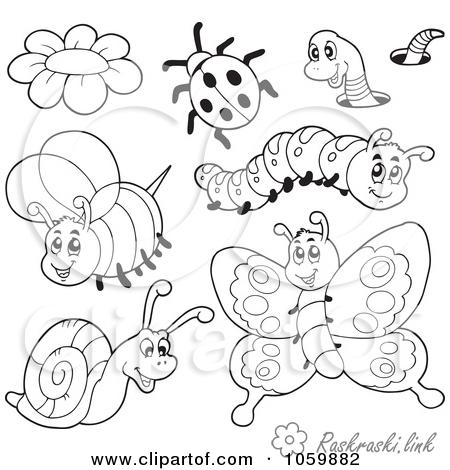  раскраски на тему гусеница                       раскраски с гусеницами на тему окружающий мир для мальчиков и девочек.  раскраски с гусеницами для детей               