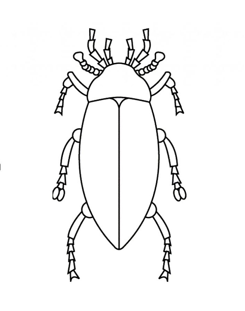 Жук. Раскраски для детей на тему жуки. Раскраски с жуками.   Жуки. Раскраски с жуками. Детские познавательные раскраски на тему жуки. Раскраски для детей с жуками, насекомыми. Скачать раскраски с жуками.                     