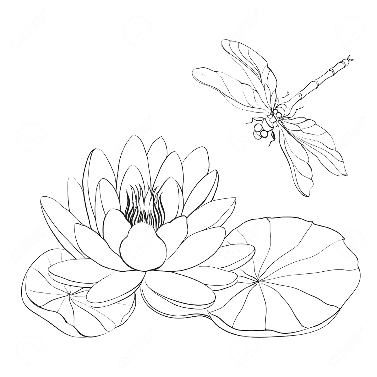 蜻蜓怎么画简单又漂亮 - 制作系手工网