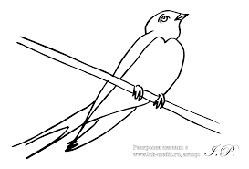  раскраски на тему ласточка для детей      раскраски с ласточками на тему окружающий мир для мальчиков и девочек.  раскраски с ласточками для детей         