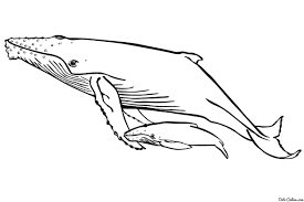  раскраски на тему кит для детей          раскраски с китами на тему окружающий мир для мальчиков и девочек.  раскраски с китами для детей и взрослых      