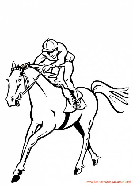 Раскраски для детей про конный спорт. Раскраски с лошадьми. Скачать раскраски для детей с конным спортом. Раскраски с изображениями лошадей, раскраски про спорт. 