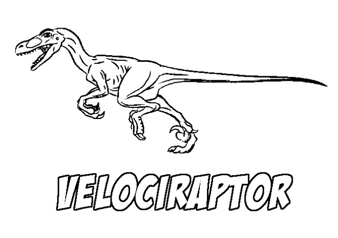 Раскраски с динозавром велопцераптором Скачать и распечатать раскраску велопцераптора