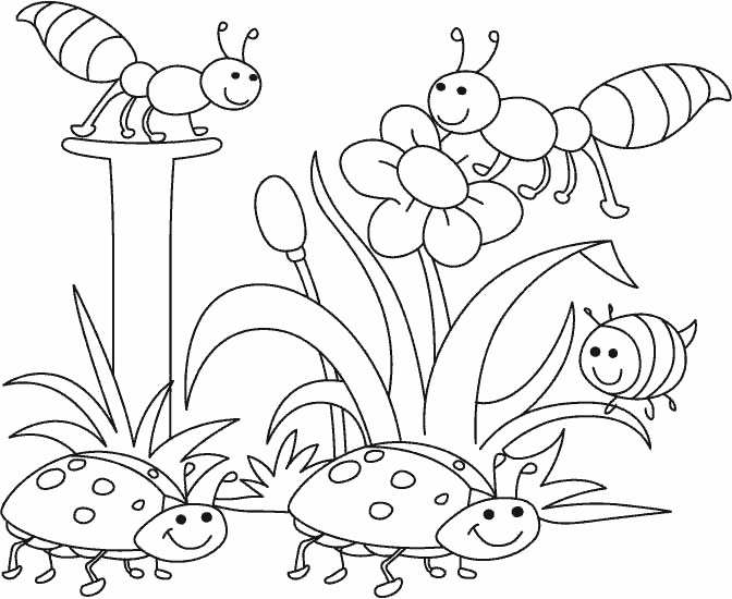 Раскраски для мальчиков и девочек с изображением насекомых:муравьев ,бабочек ,пауков ,тараканов.. Раскраски антистресс насекомые . Раскраски на тему насекомые .