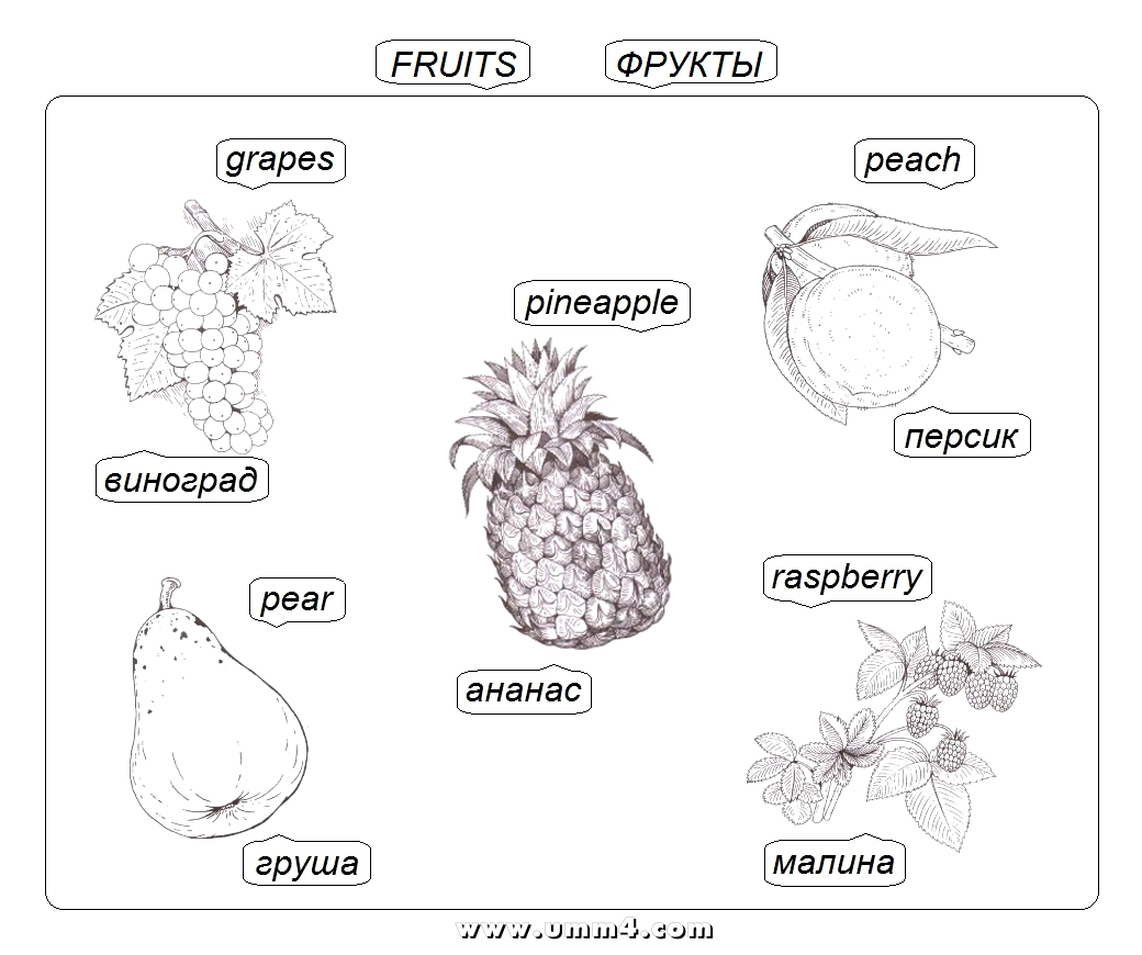 Раскраски алфавиты названия фруктов на английском языке для детей драконий фрукт
